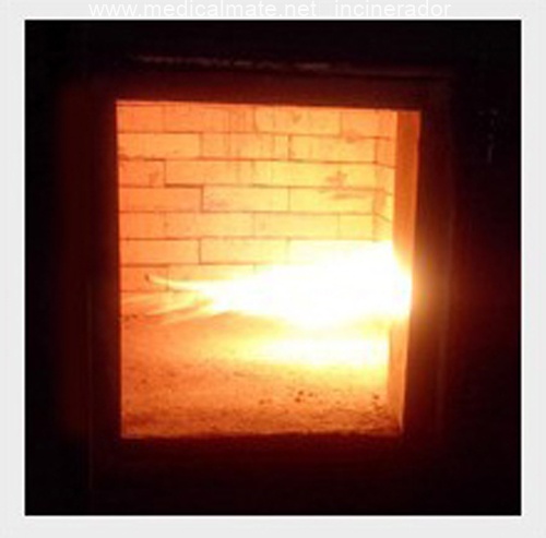 waste incinerator manufacturers