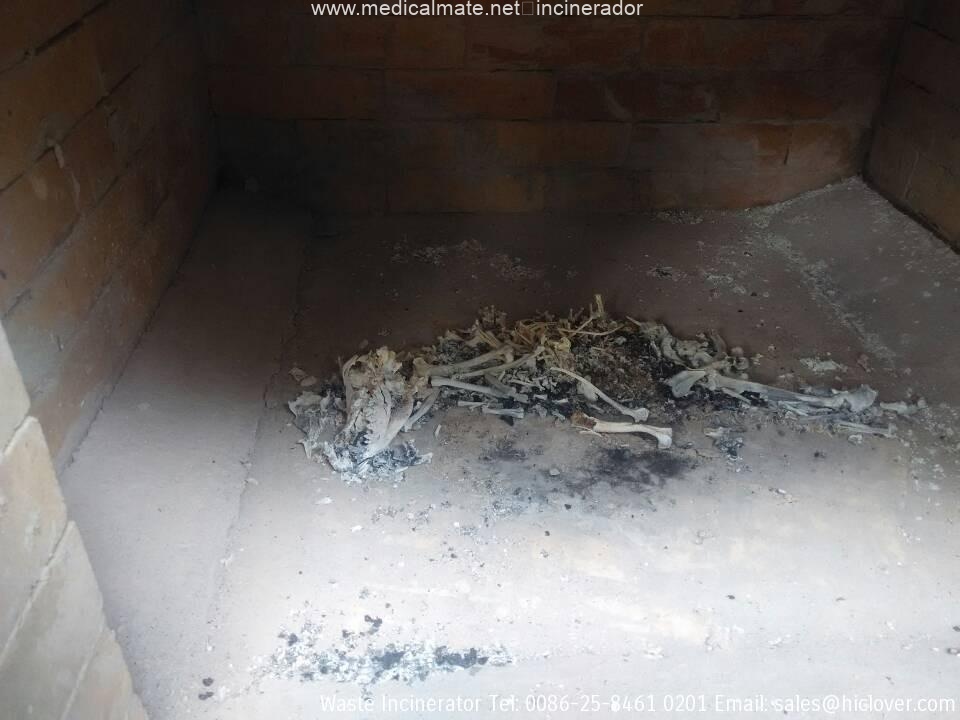 pet crematory