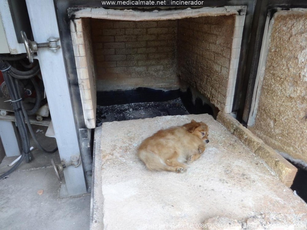 pet cremation equipment