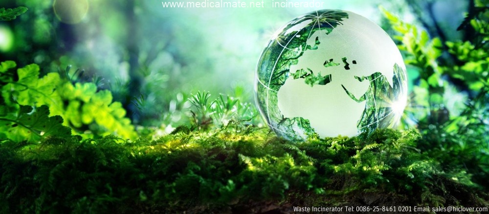 small scale medical waste incinerator