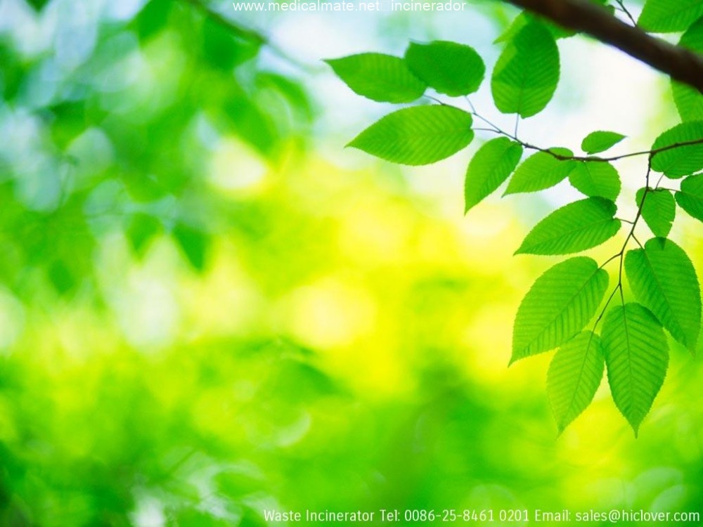 nanjing clover incinerator price