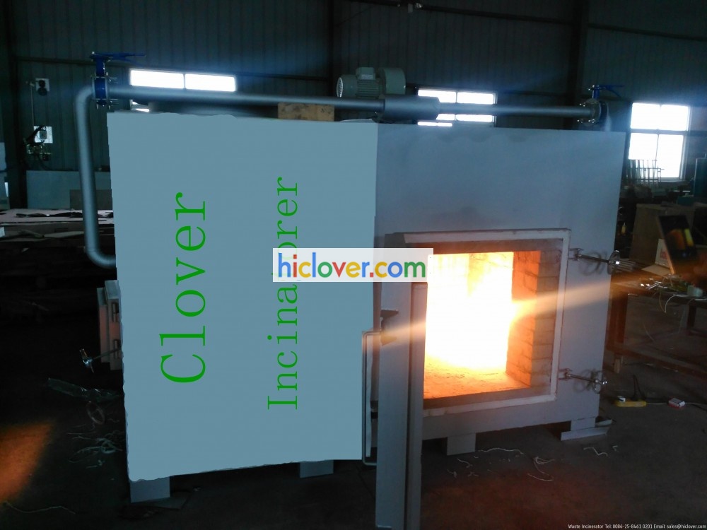 laboratory incinerator