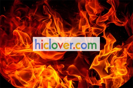 animal waste incinerator manufacturer