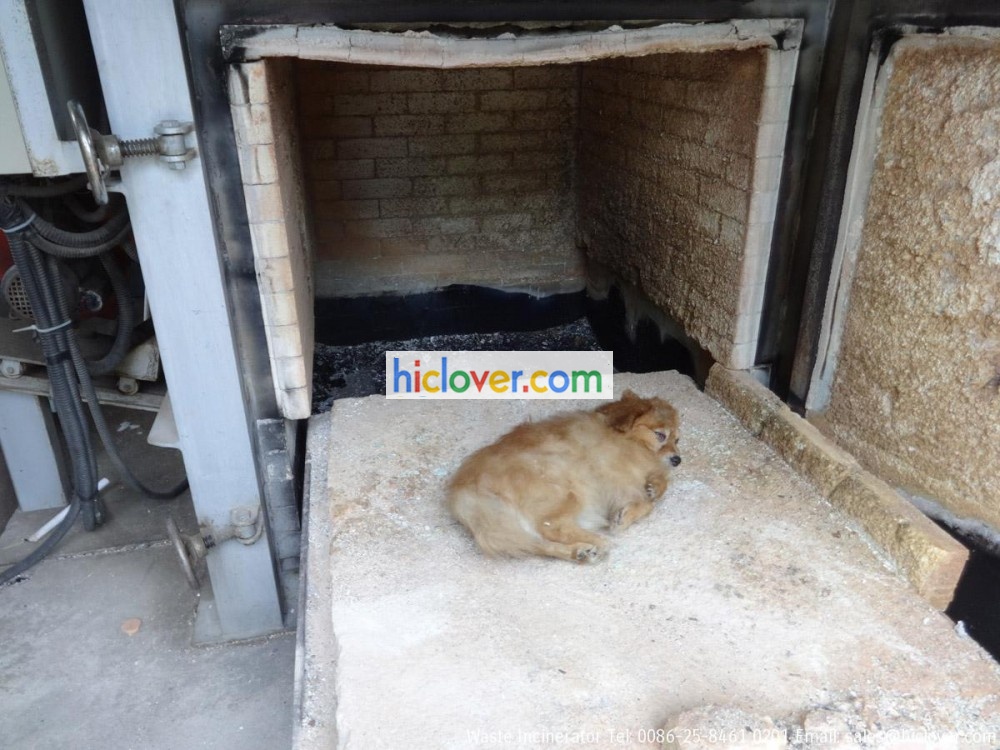pet cremation equipment