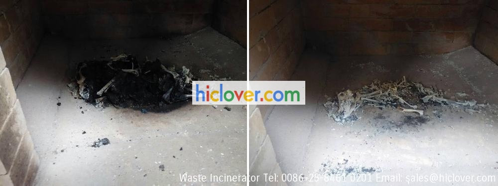 pet incinerator