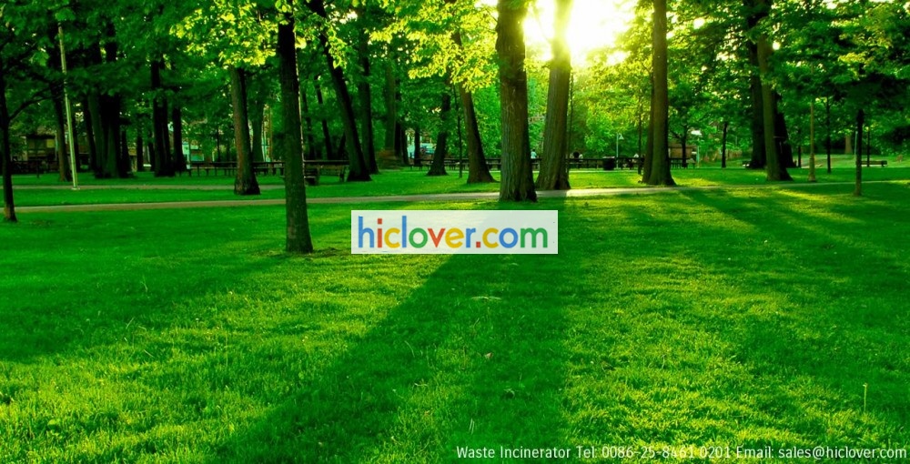 medical incinerator manufacturers